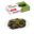 BROCCOLI FRIARIELLI KG 2