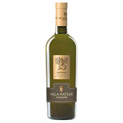 FALANGHINA VILLA( PEDRA) 750 ML